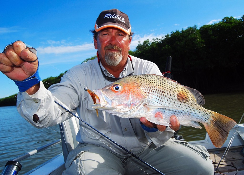 Arthur Lovern of Seaforth Fishing Tours is a big fan of finesse fishing for fingermark.  He uses three inch jerkshads to snare plenty of these fish. © Lee Brake